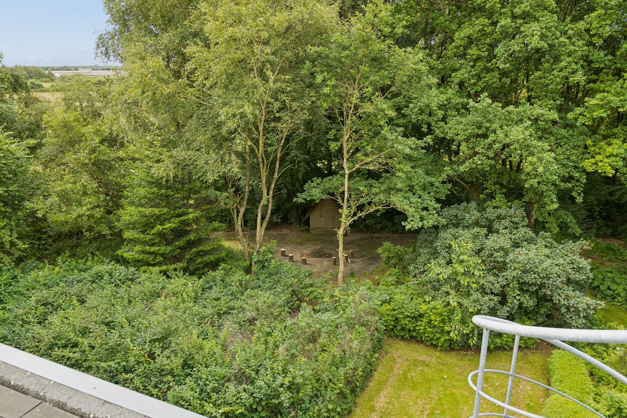 image 03